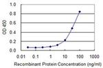 alpha Amylase 2B Antibody in ELISA (ELISA)