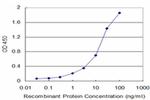 ARF5 Antibody in ELISA (ELISA)