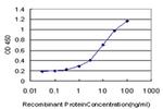 POLR3D Antibody in ELISA (ELISA)