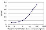 Carboxypeptidase A1 Antibody in ELISA (ELISA)