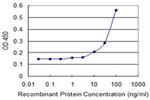 DPH2 Antibody in ELISA (ELISA)