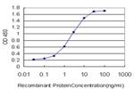 EphB3 Antibody in ELISA (ELISA)