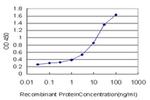 FOXF2 Antibody in ELISA (ELISA)