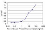 HOXA5 Antibody in ELISA (ELISA)