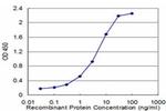 ID1 Antibody in ELISA (ELISA)