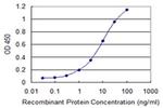 IMPA1 Antibody in ELISA (ELISA)