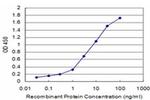 MCM3 Antibody in ELISA (ELISA)