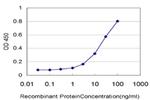 TRIM37 Antibody in ELISA (ELISA)