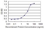 NUBP1 Antibody in ELISA (ELISA)