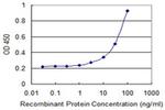 NTF4 Antibody in ELISA (ELISA)