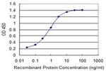 LIS1 Antibody in ELISA (ELISA)