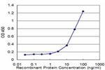 Pleckstrin Antibody in ELISA (ELISA)