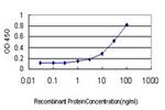 PKA beta Antibody in ELISA (ELISA)