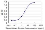 SOX12 Antibody in ELISA (ELISA)