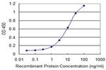 KLF10 Antibody in ELISA (ELISA)