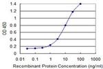 ZNF23 Antibody in ELISA (ELISA)