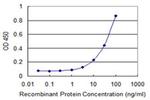 ZKSCAN1 Antibody in ELISA (ELISA)