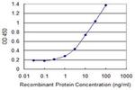 ZRSR2 Antibody in ELISA (ELISA)