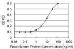 BLZF1 Antibody in ELISA (ELISA)