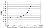 HESX1 Antibody in ELISA (ELISA)