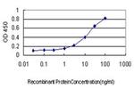 SH2D3C Antibody in ELISA (ELISA)