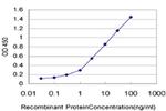 SNAPC5 Antibody in ELISA (ELISA)