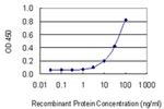 OLFM1 Antibody in ELISA (ELISA)