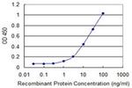 RUNDC3A Antibody in ELISA (ELISA)