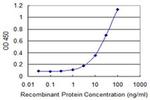 MSRB2 Antibody in ELISA (ELISA)