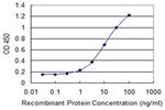 SEC14L2 Antibody in ELISA (ELISA)