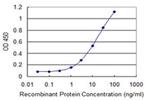 DDAH2 Antibody in ELISA (ELISA)