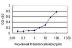 KCNMB4 Antibody in ELISA (ELISA)