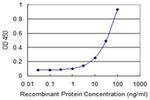 APOBEC3C Antibody in ELISA (ELISA)