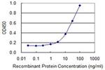 SNX11 Antibody in ELISA (ELISA)