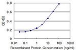 GINS2 Antibody in ELISA (ELISA)