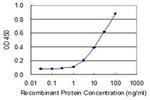 WDR41 Antibody in ELISA (ELISA)