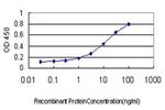 TDP1 Antibody in ELISA (ELISA)