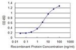 MCCC2 Antibody in ELISA (ELISA)