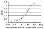 ZNF101 Antibody in ELISA (ELISA)