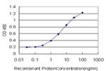 PIMT Antibody in ELISA (ELISA)