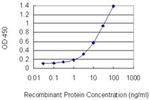 PHD3 Antibody in ELISA (ELISA)