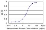 SFRS12 Antibody in ELISA (ELISA)