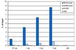 H3K27ac Antibody in ChIP Assay (ChIP)