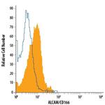 CD166 Antibody in Flow Cytometry (Flow)