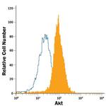 AKT1 Antibody in Flow Cytometry (Flow)