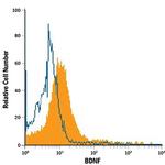 BDNF Antibody in Flow Cytometry (Flow)