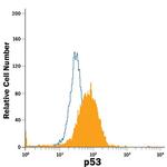 p53 Antibody in Flow Cytometry (Flow)