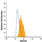 WNT9A Antibody in Flow Cytometry (Flow)