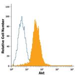 AKT1 Antibody in Flow Cytometry (Flow)