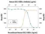 CXCL1 Antibody